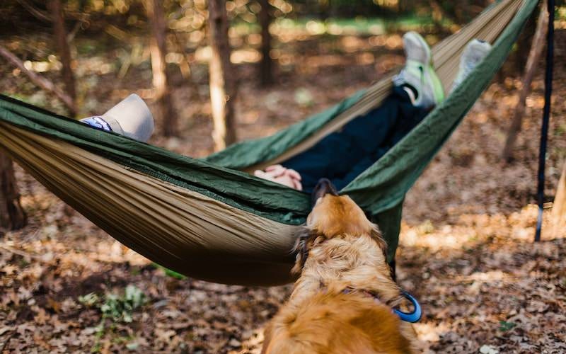 Man laying in a hammock with his dog near by
